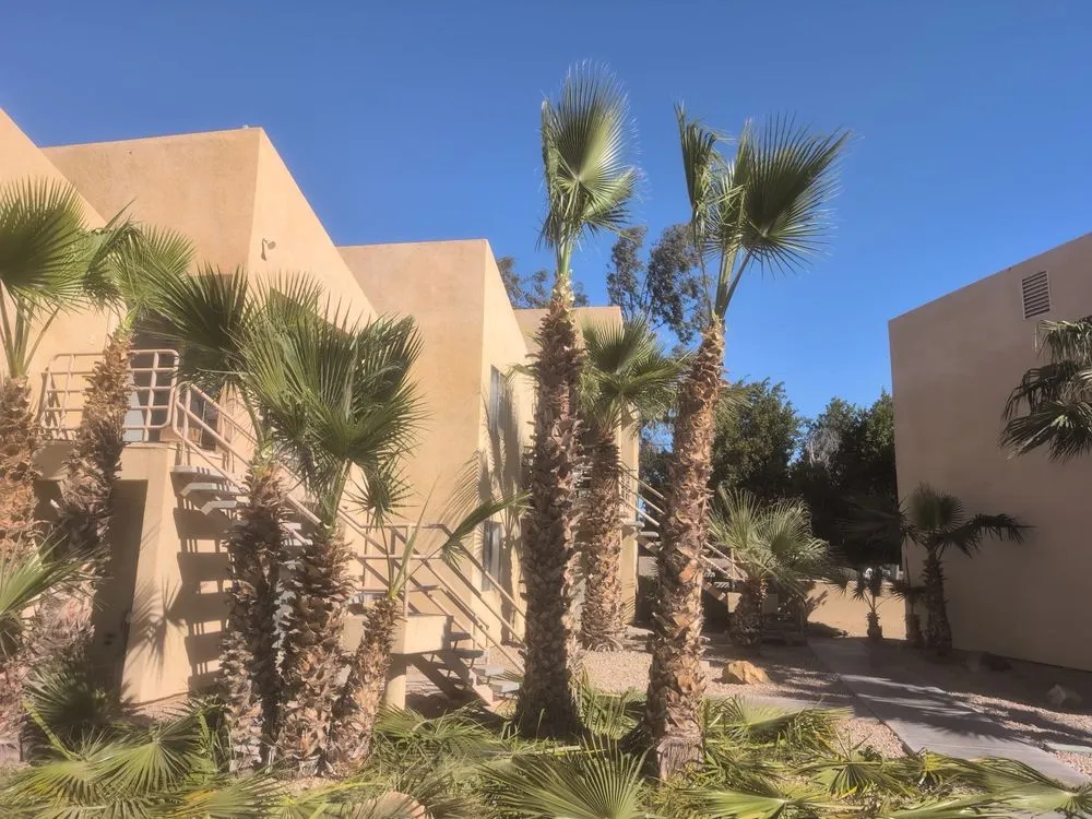 Affordable landscape design in Yuma, AZ by Lara Landscaping & Tree Trimming