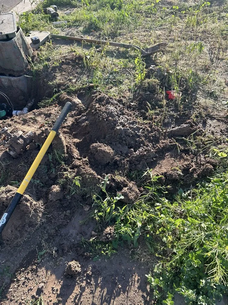 Local landscape design in Yuma, AZ - Lara Landscaping & Tree Trimming