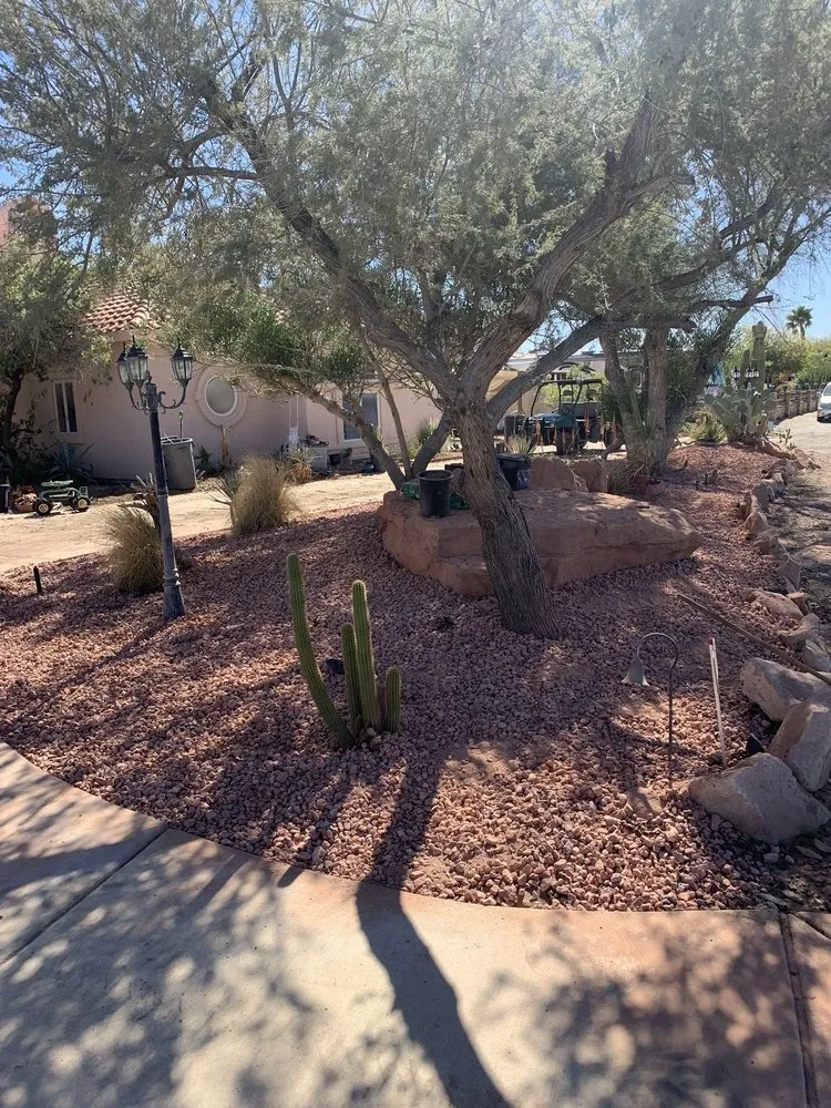 Expert yard maintenance experts serving Yuma, AZ - Lara Landscaping & Tree Trimming