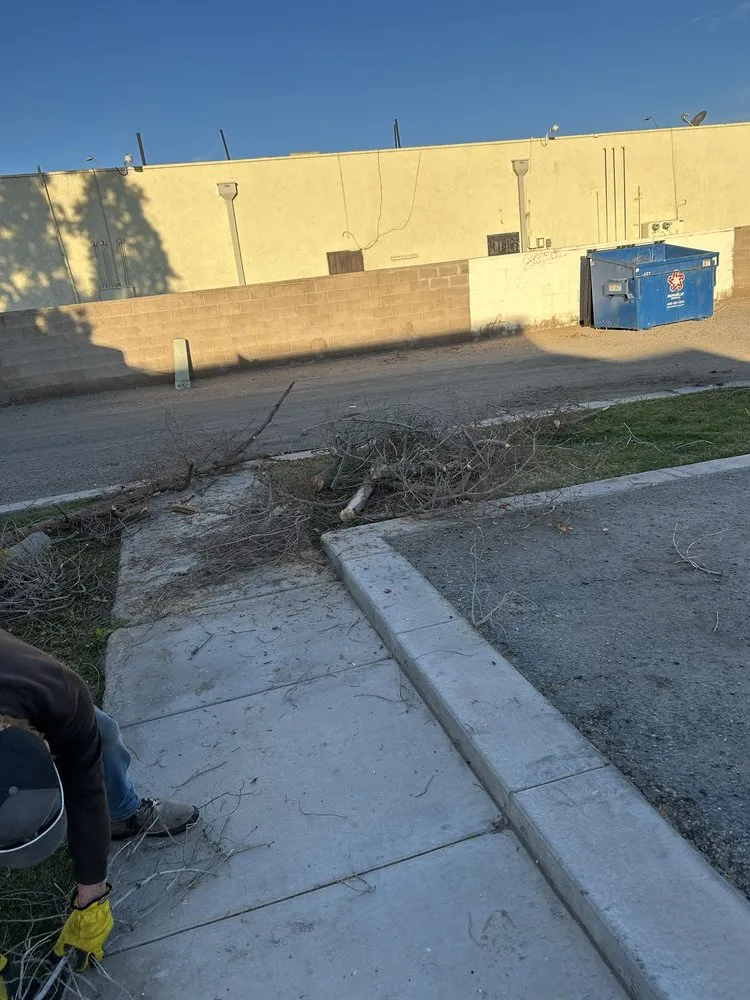 Professional yard cleanup service experts serving Yuma, AZ - Lara Landscaping & Tree Trimming