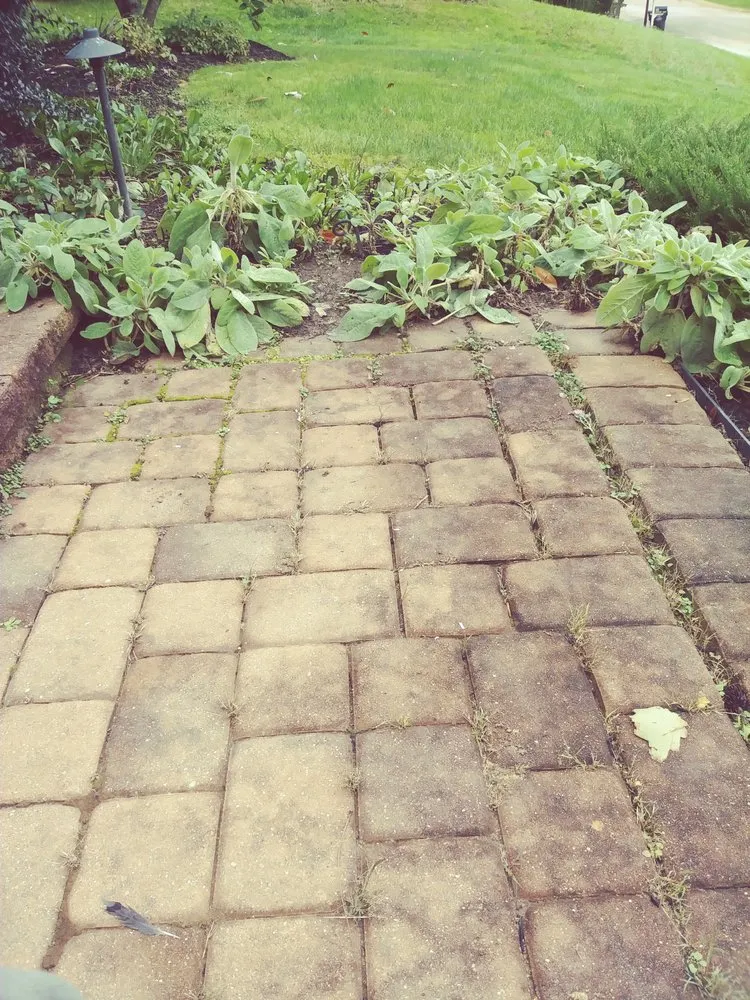 Expert lawn care service for residential properties across Coatesville, PA - Lara Landscaping