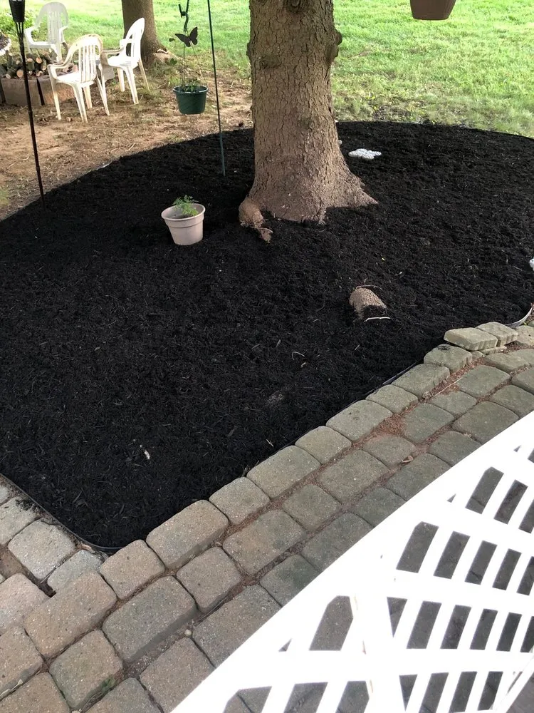 Professional yard cleanup service for residential properties across Coatesville, PA - Lara Landscaping