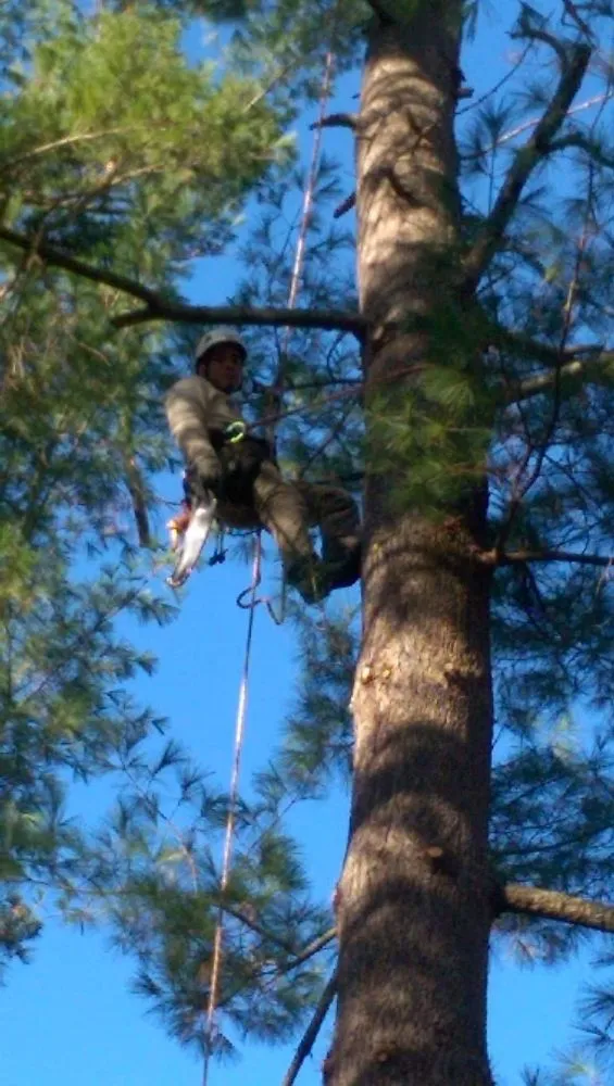 Expert yard maintenance in Coatesville, PA by Lara Landscaping