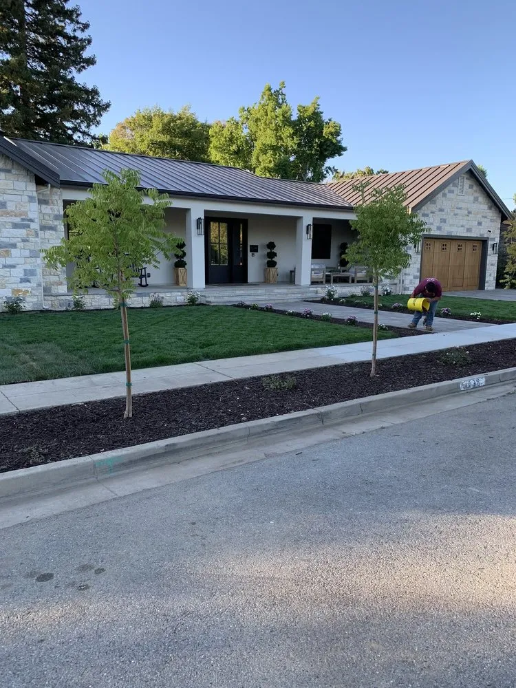 Custom yard cleanup service in San Jose, CA - Lara Landscaping Construction