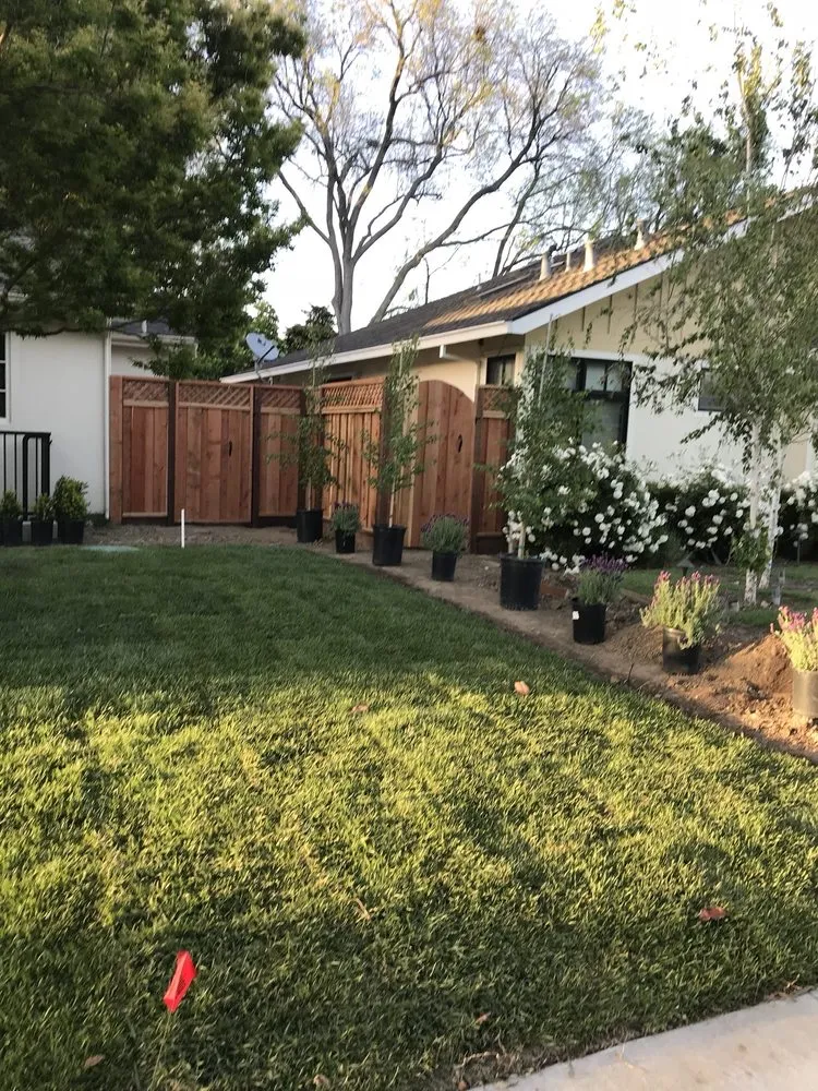 Affordable lawn care service for homes in San Jose, CA by Lara Landscaping Construction