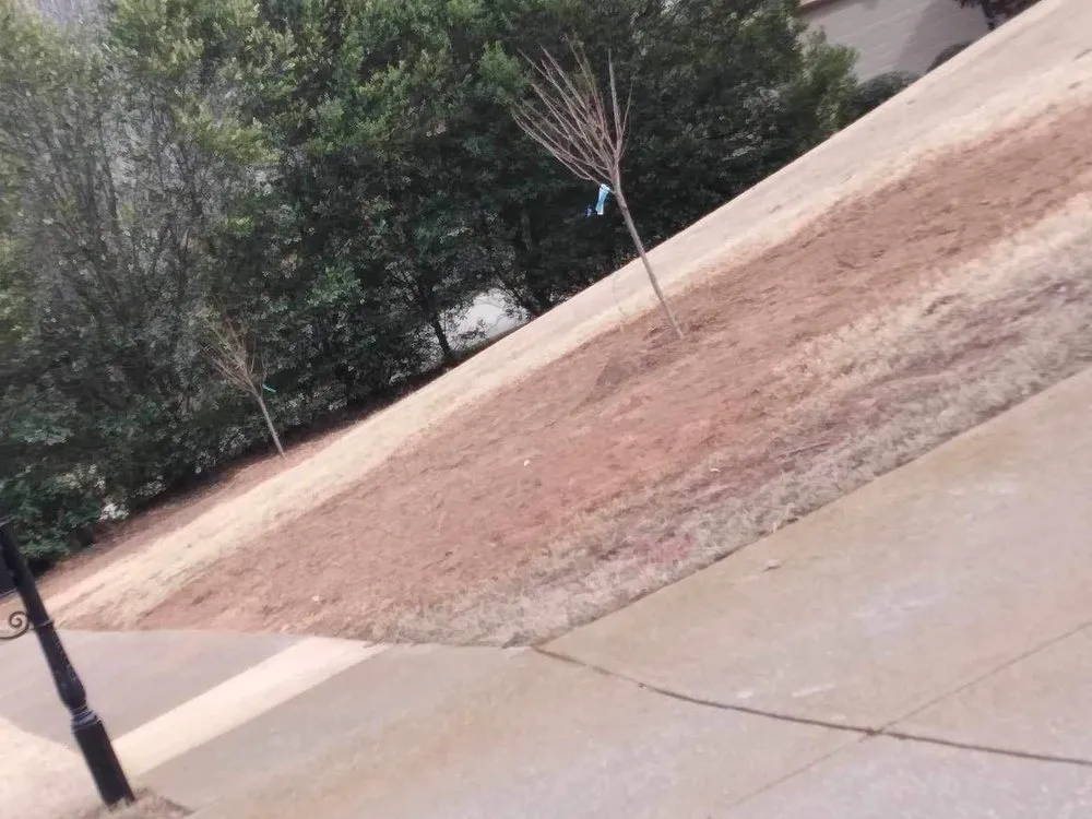 Expert garden landscaping near you in Cumming, GA by Lara landscaping