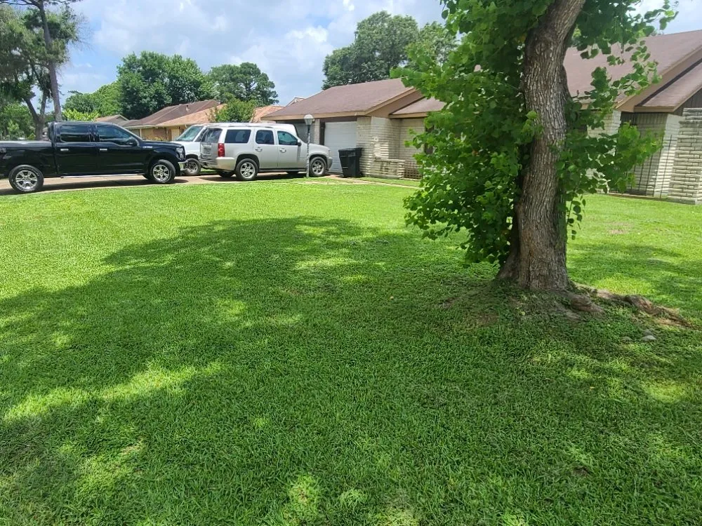 Expert yard cleanup service in Houston, TX by Lara landscaping