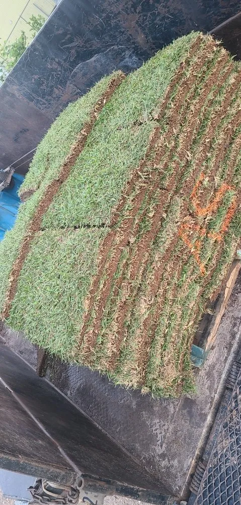 Local garden landscaping in Houston, TX by Lara landscaping