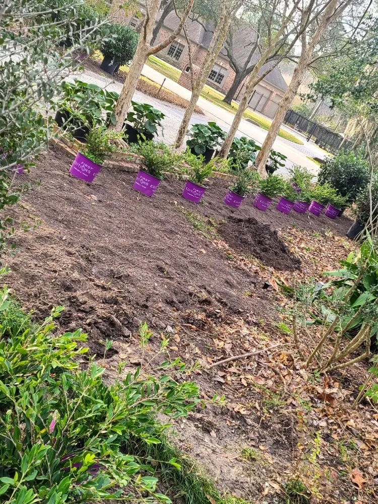 Affordable residential landscaping experts serving Houston, TX - Lara landscaping