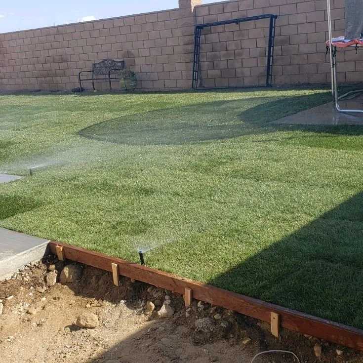 Reliable yard cleanup service in Victorville, CA - Lara Landscaping