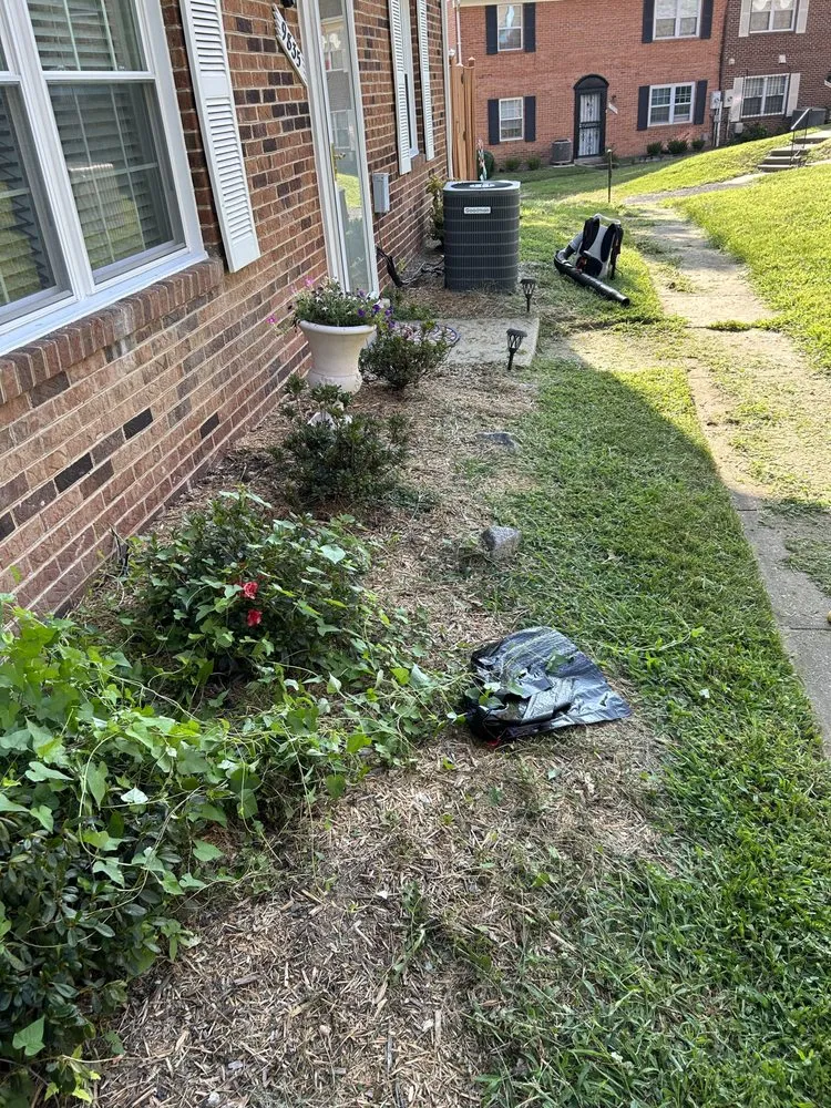 Top-rated landscape design in Woodbridge, VA - Lara Landscaping