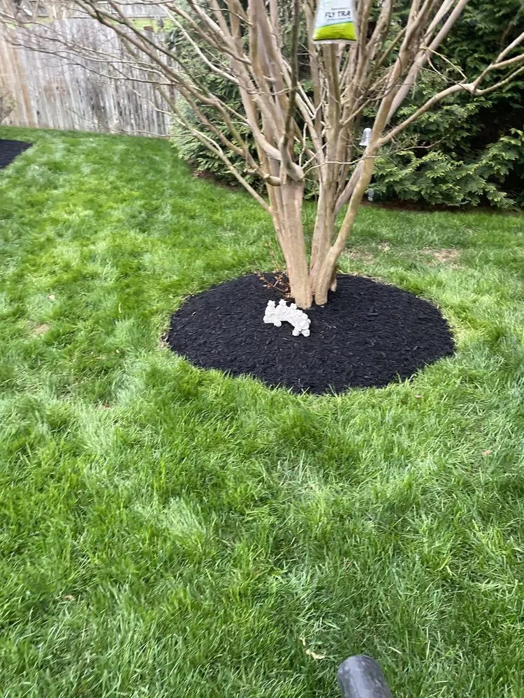 Local yard cleanup service for beautiful yards across Woodbridge, VA - Lara Landscaping