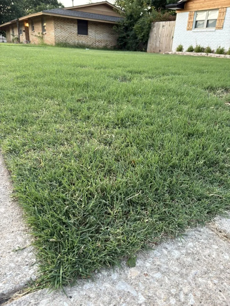 Affordable landscaping services in Oklahoma City, OK by Lara Lawn Care