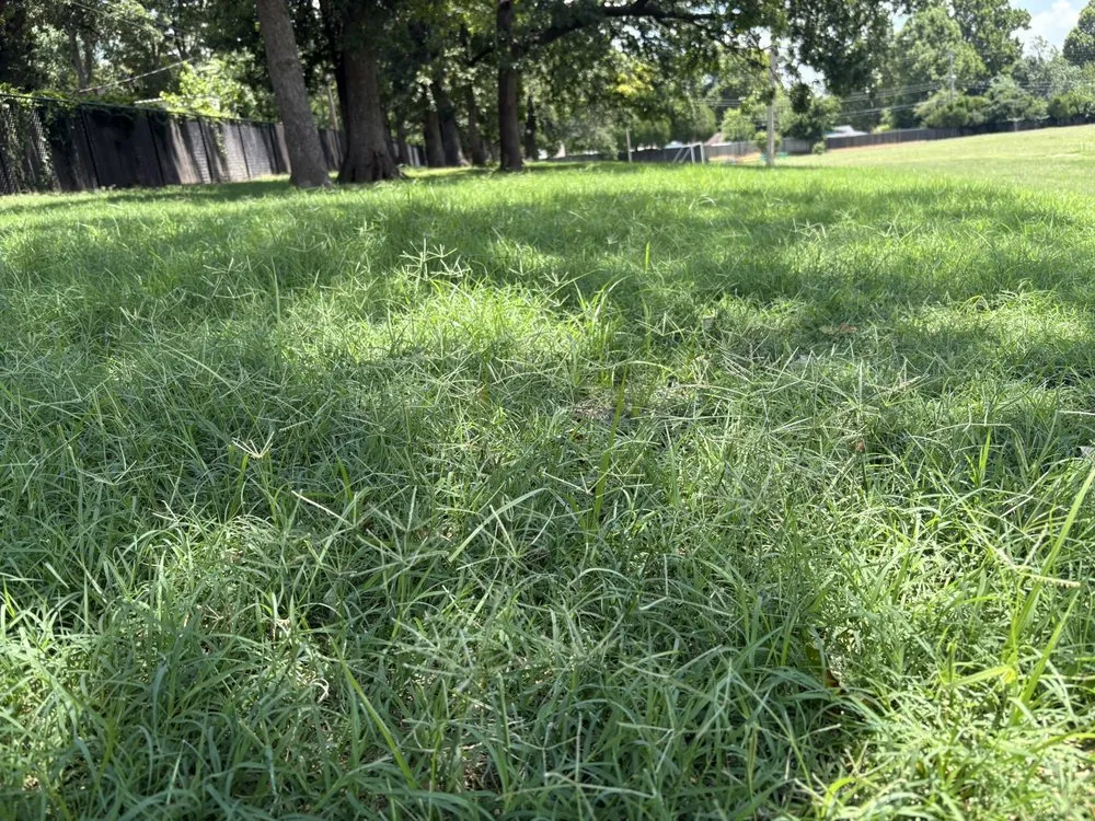 Top-rated yard maintenance for year-round maintenance in Oklahoma City, OK by Lara Lawn Care