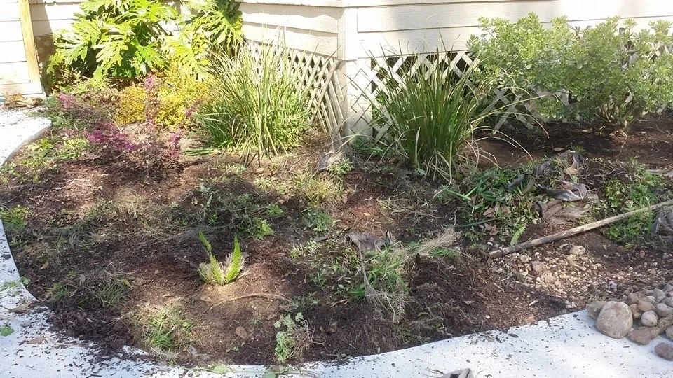 Trusted lawn care service with custom design across Crosby, TX - Lara Lawn Service