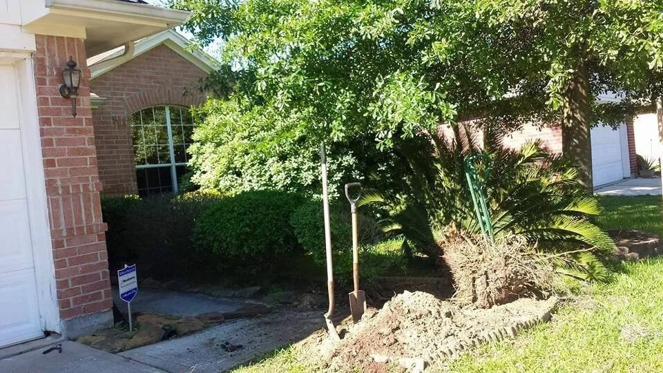 Professional landscape design for outdoor upgrades across Crosby, TX - Lara Lawn Service