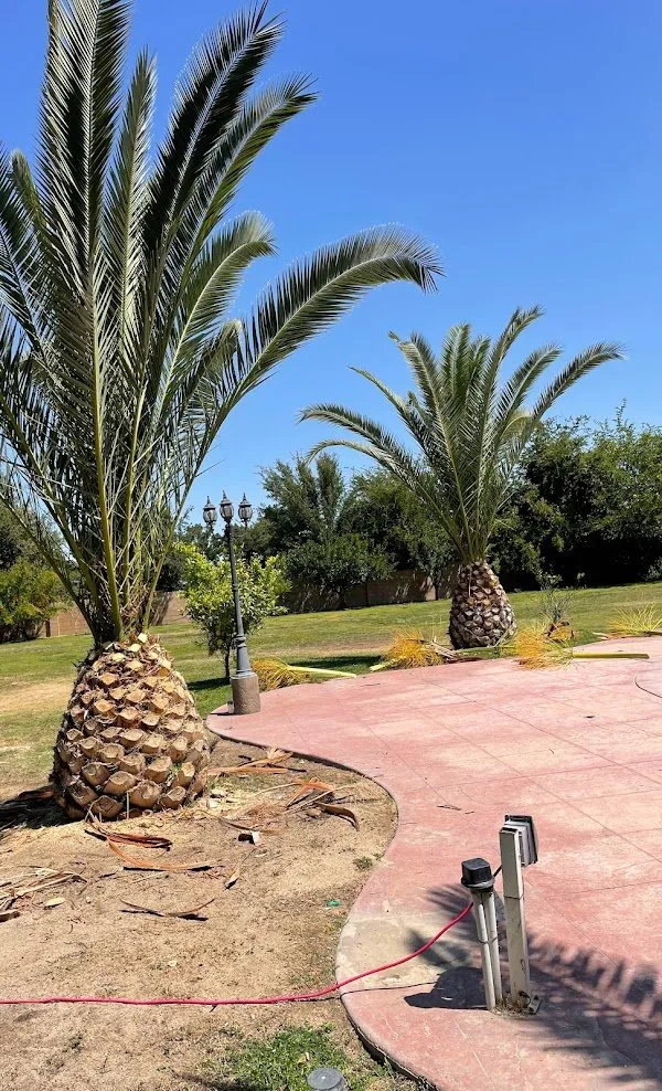 Custom outdoor landscaping experts serving Bakersfield, CA - Lara Mejia Gardening and Tree Services