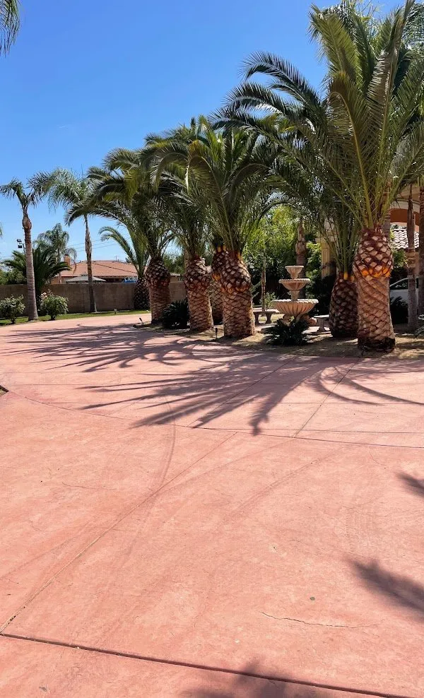 Top-rated lawn care service in Bakersfield, CA - Lara Mejia Gardening and Tree Services