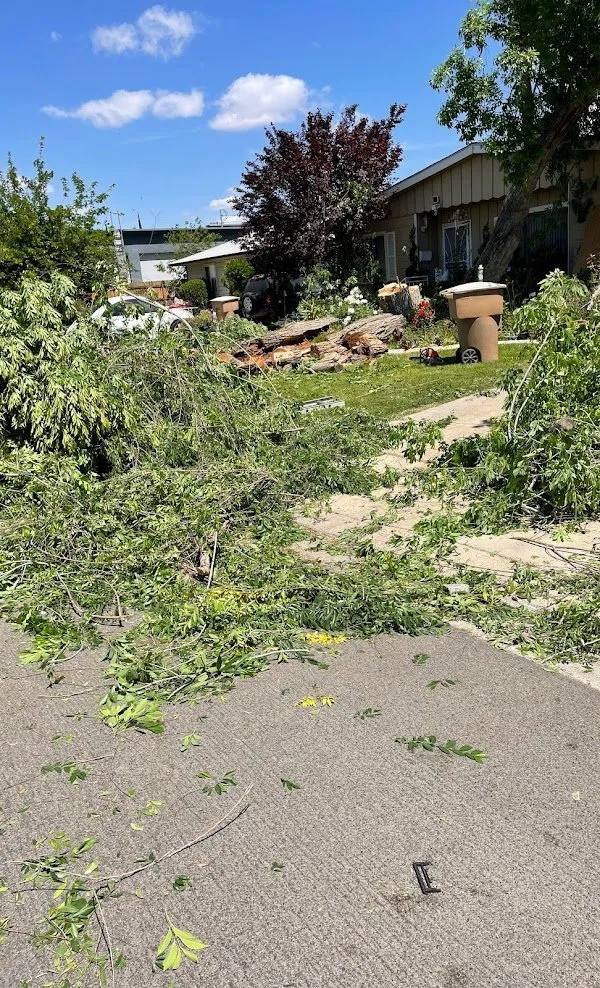 Professional garden landscaping with custom design across Bakersfield, CA - Lara Mejia Gardening and Tree Services