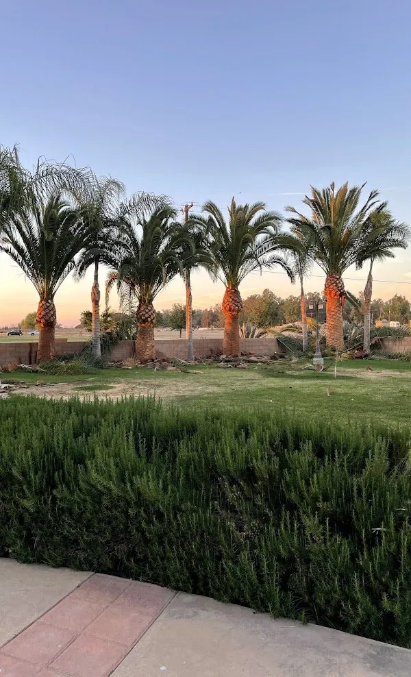 Reliable residential landscaping for year-round maintenance in Bakersfield, CA by Lara Mejia Gardening and Tree Services
