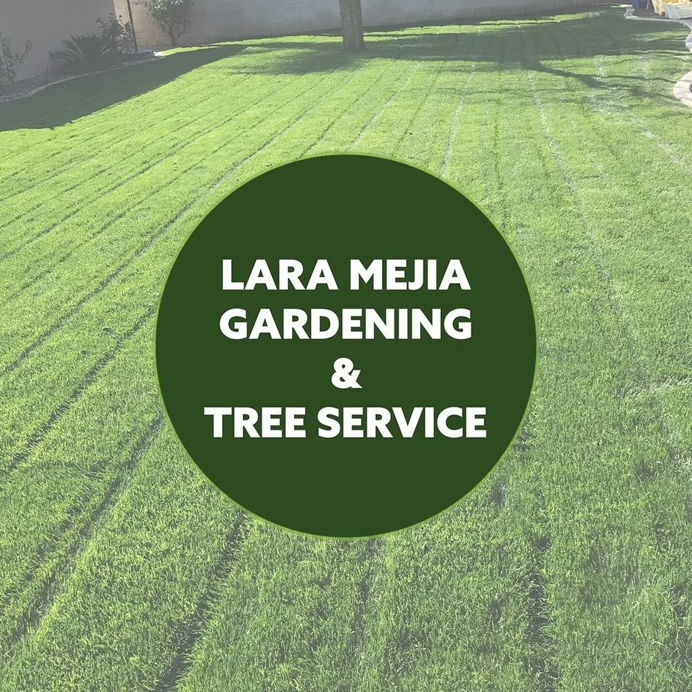 Trusted lawn mowing service in Bakersfield, CA by Lara Mejia Gardening and Tree Services