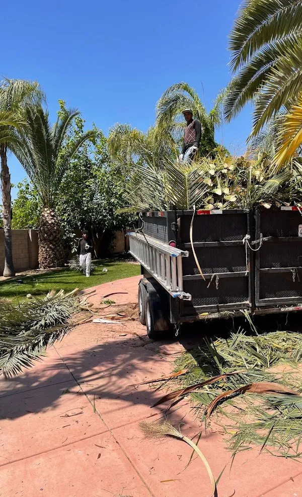 Reliable landscape design in Bakersfield, CA - Lara Mejia Gardening and Tree Services