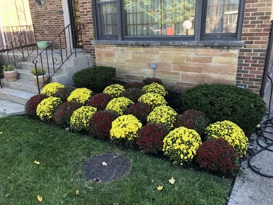 Lara Sanchez Landscaping Logo