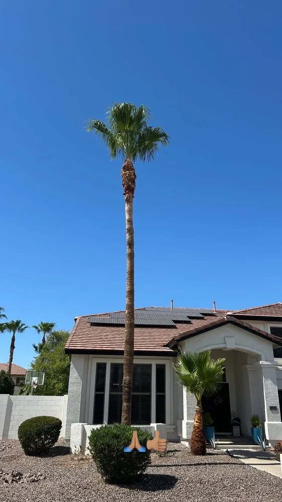 Custom landscape design for outdoor upgrades in Maricopa, AZ by Lara Tree And Foundation