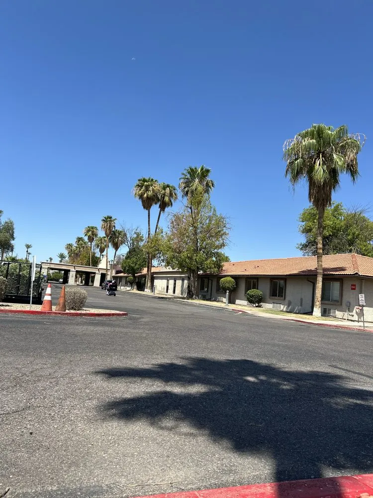 Expert yard cleanup service in Maricopa, AZ by Lara Tree And Foundation