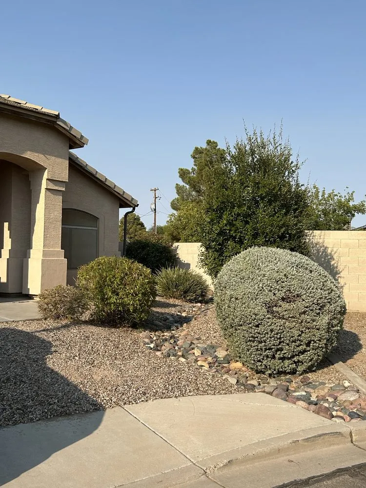 Local landscape design experts serving Maricopa, AZ - Lara Tree And Foundation