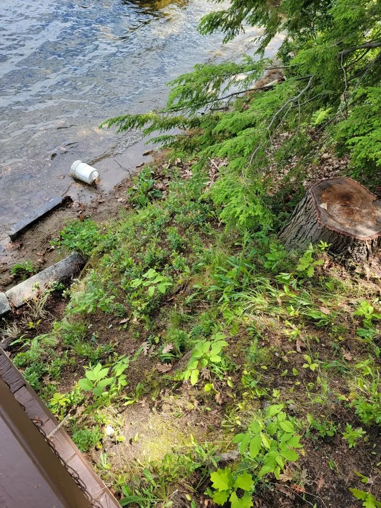 Reliable landscaping services experts serving Franklin, NH - Laramee's Lawn Care Services And Landscaping