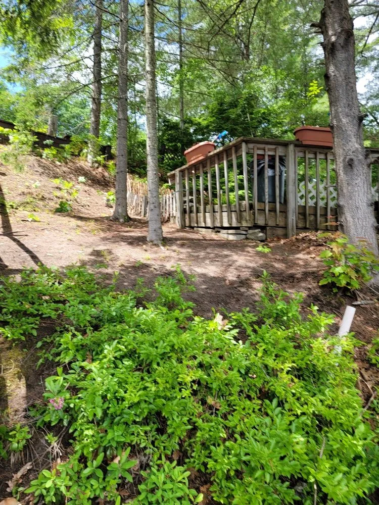 Top-rated residential landscaping experts serving Franklin, NH - Laramee's Lawn Care Services And Landscaping