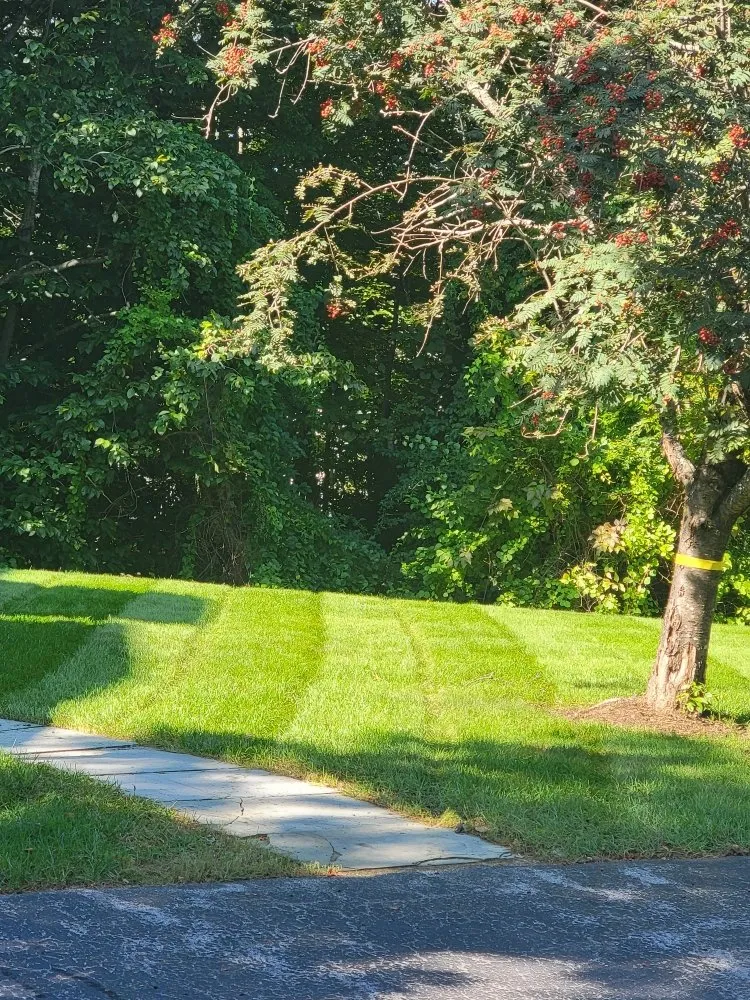 Local landscape design for year-round maintenance in Franklin, NH by Laramee's Lawn Care Services And Landscaping
