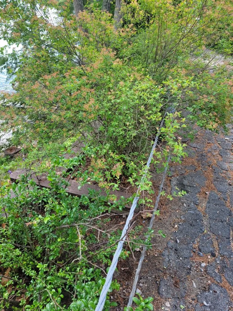 Top-rated landscape design experts serving Franklin, NH - Laramee's Lawn Care Services And Landscaping