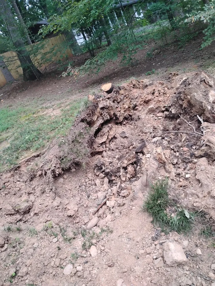 Top-rated yard maintenance in Woodstock, GA by Laramore Landscaping