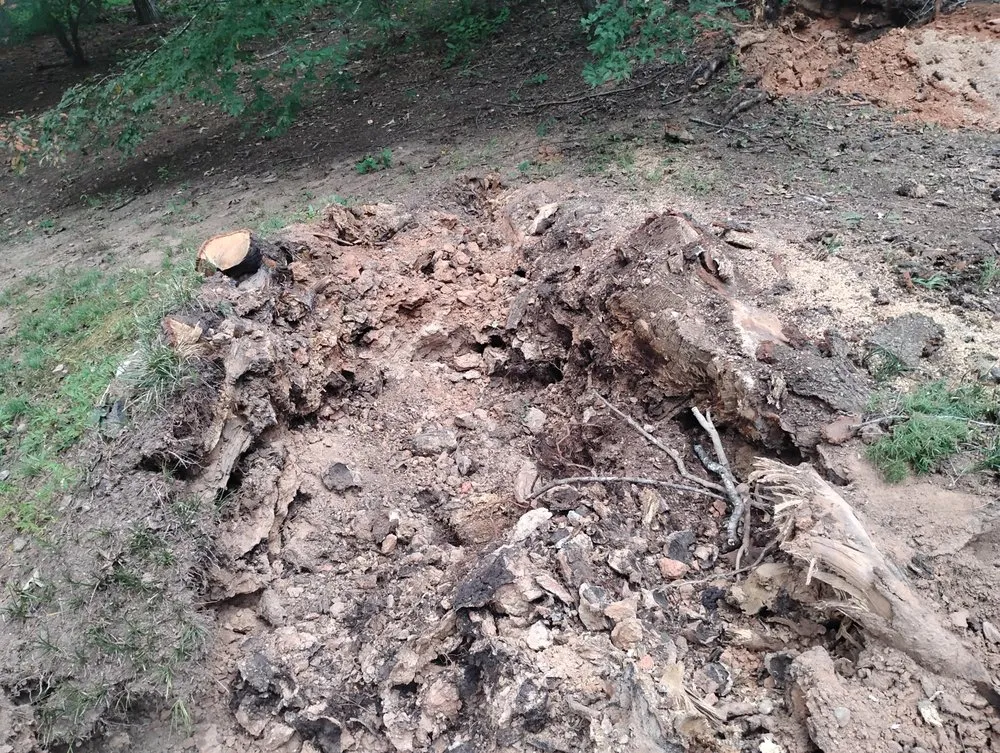 Custom landscaping services in Woodstock, GA - Laramore Landscaping