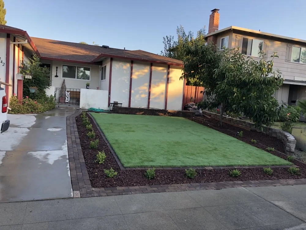 Local yard cleanup service in San Jose, CA - Laras Construction