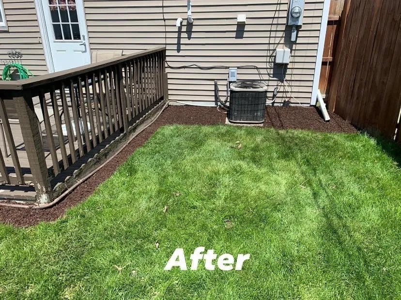 Expert yard maintenance experts serving Wellington, OH - Lara’s Landscape & Lawn Maintenance