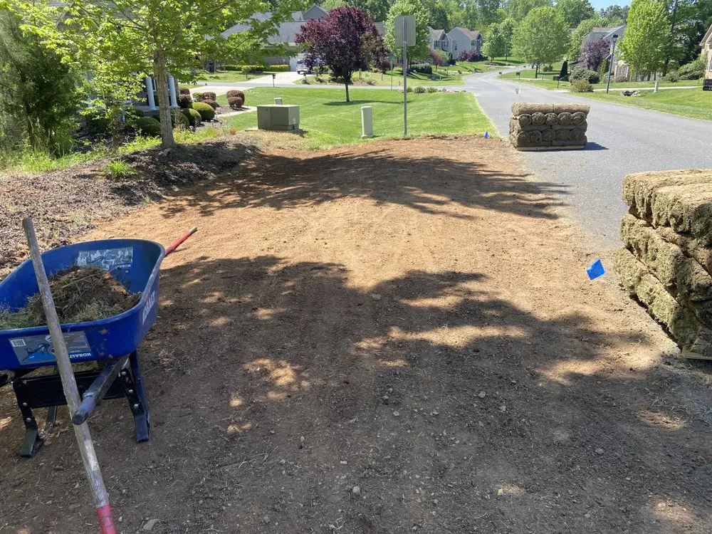 Reliable yard cleanup service in Clover, SC - Lara’s Landscape Management