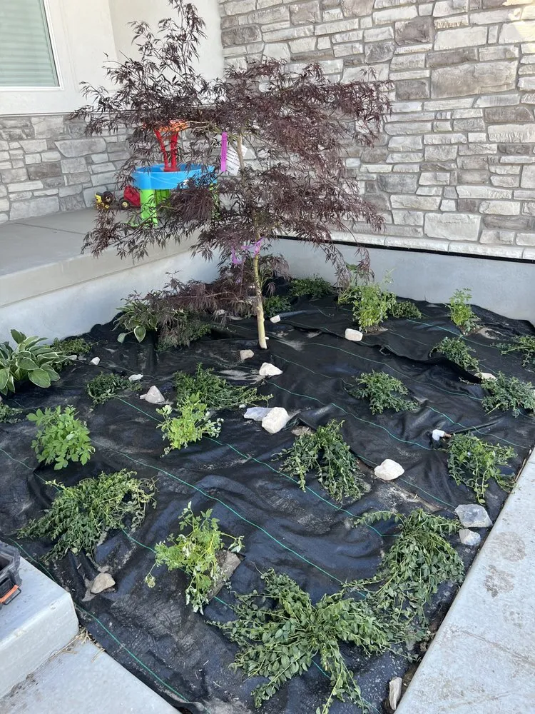 Affordable landscape design experts serving Eagle Mountain, UT - Lara’s Landscaping