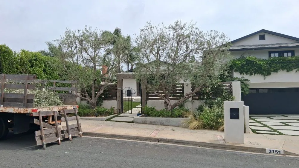 Affordable yard cleanup service for year-round maintenance across Oceanside, CA - Lara's Landscaping