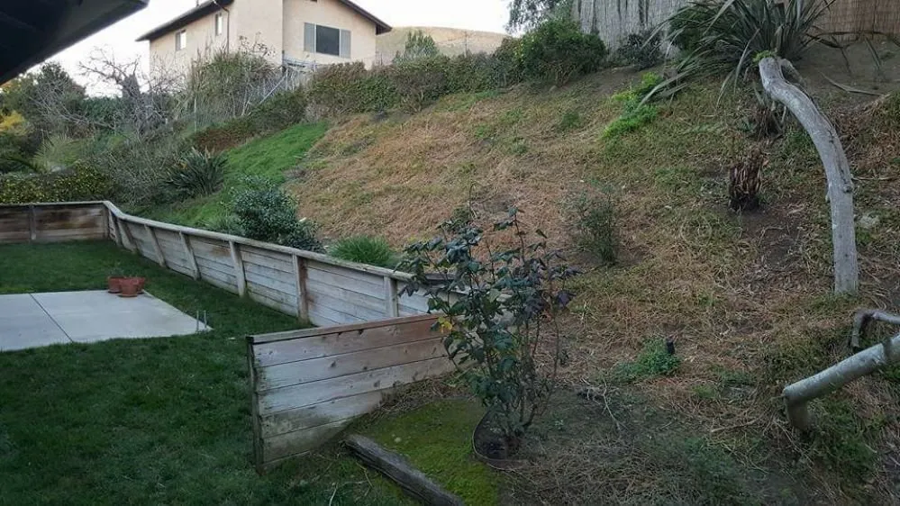 Custom garden landscaping for year-round maintenance in Oceanside, CA by Lara's Landscaping