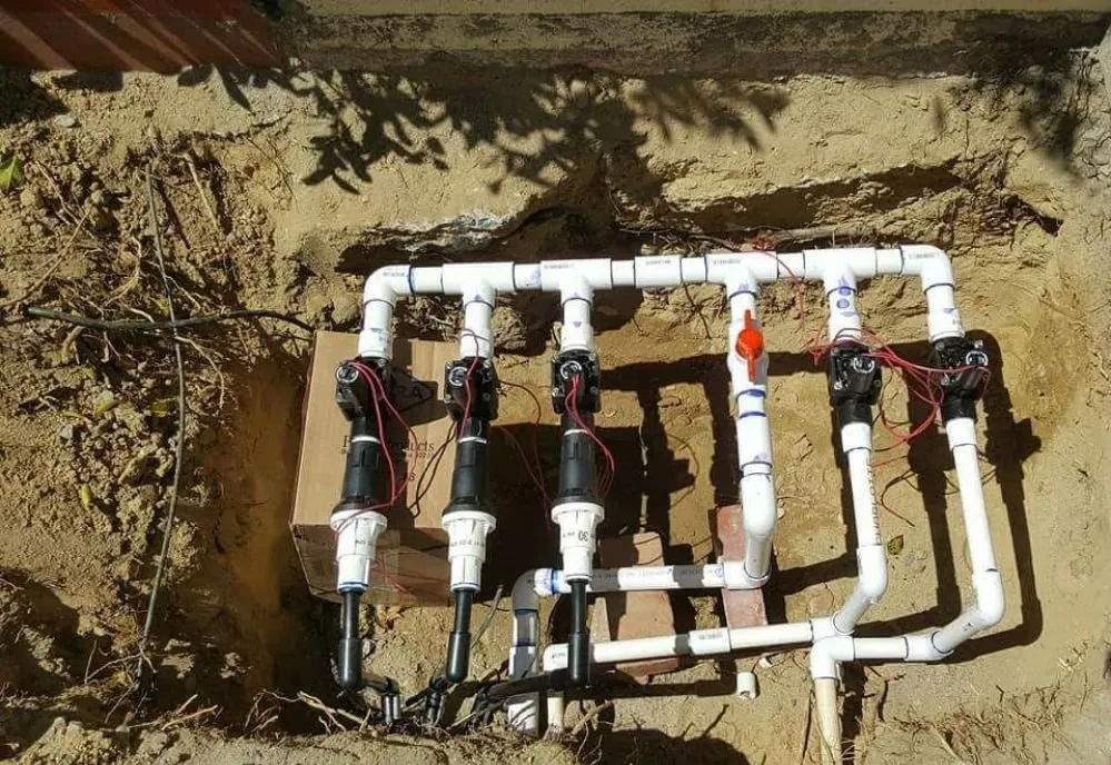 Affordable yard cleanup service in Oceanside, CA by Lara's Landscaping