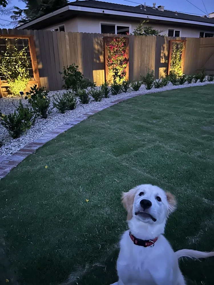 Custom landscape design experts serving Bakersfield, CA - Lara's Landscaping Services