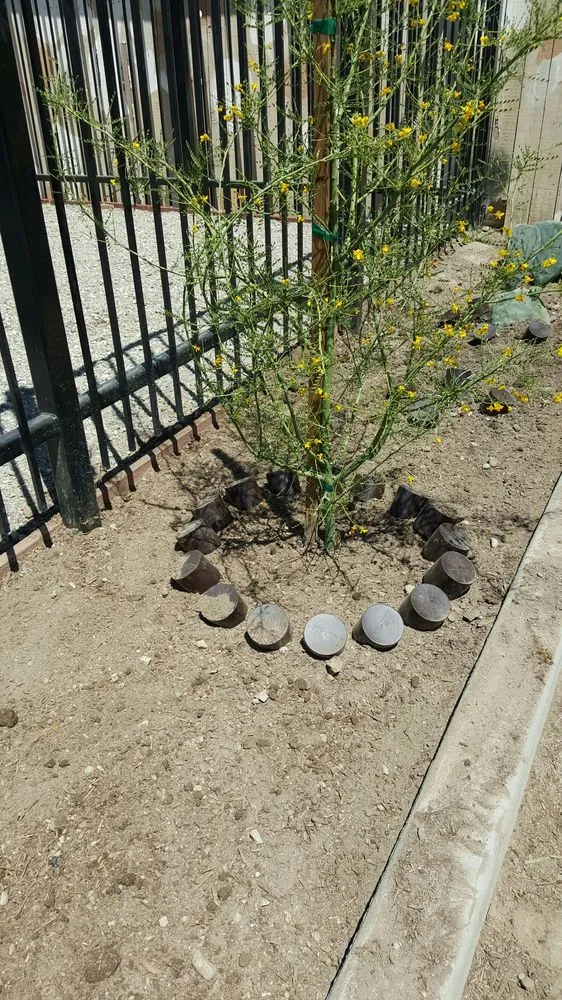 Affordable landscape design in Bakersfield, CA by Lara's Landscaping Services