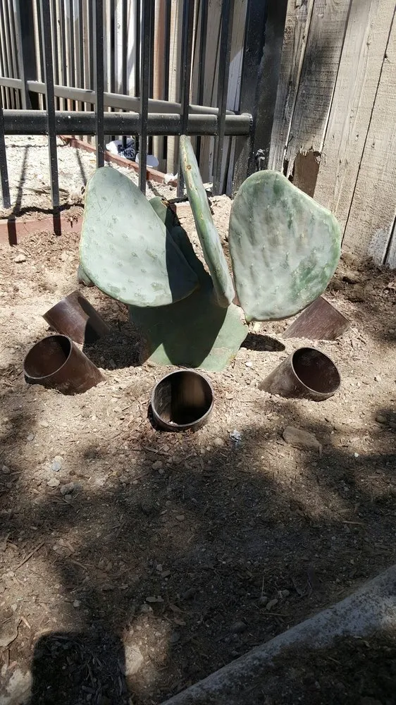 Local yard maintenance experts serving Bakersfield, CA - Lara's Landscaping Services