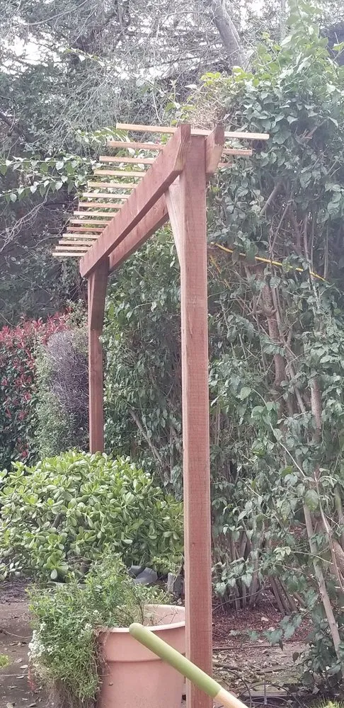 Top-rated landscape design in San Jose, CA by lara's lansdcaping