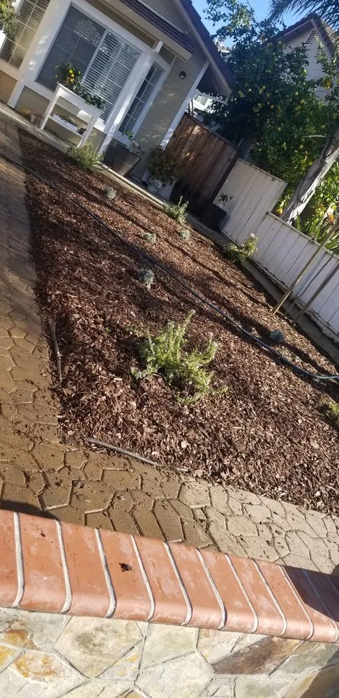 Affordable landscape design in San Jose, CA - lara's lansdcaping