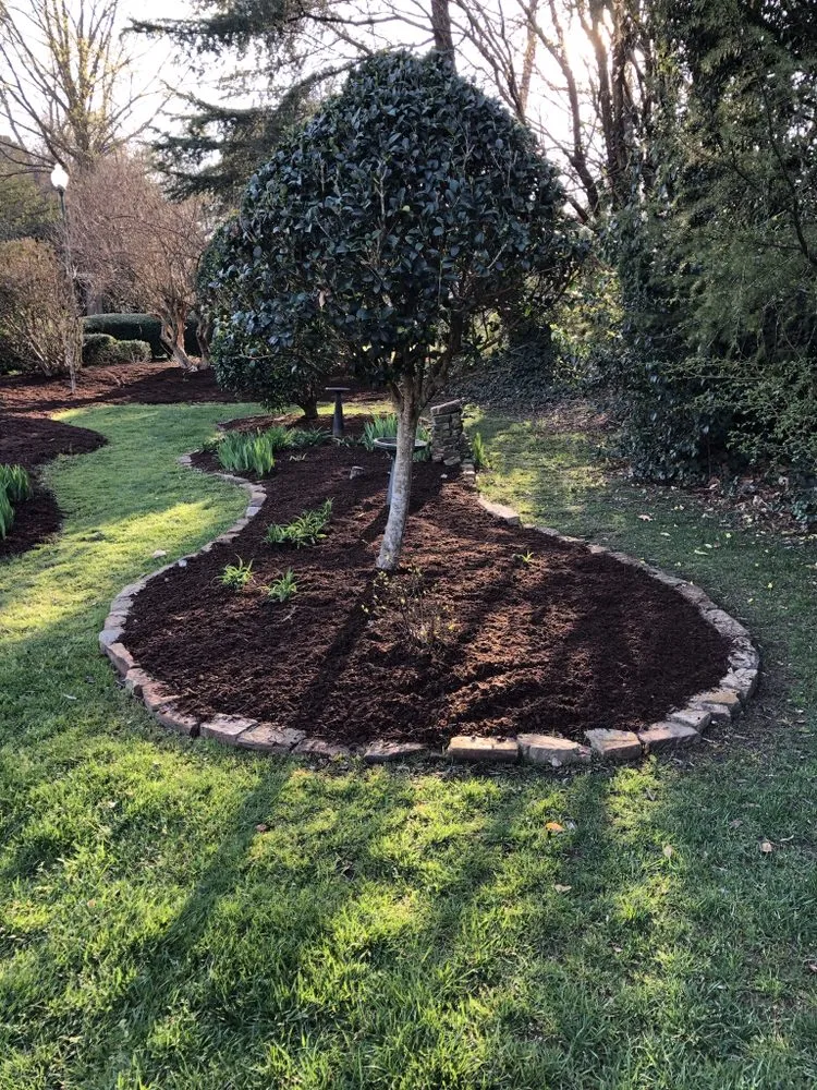 Professional yard maintenance for year-round maintenance in Middlesex, NC by Lara’s Lawn Landscaping
