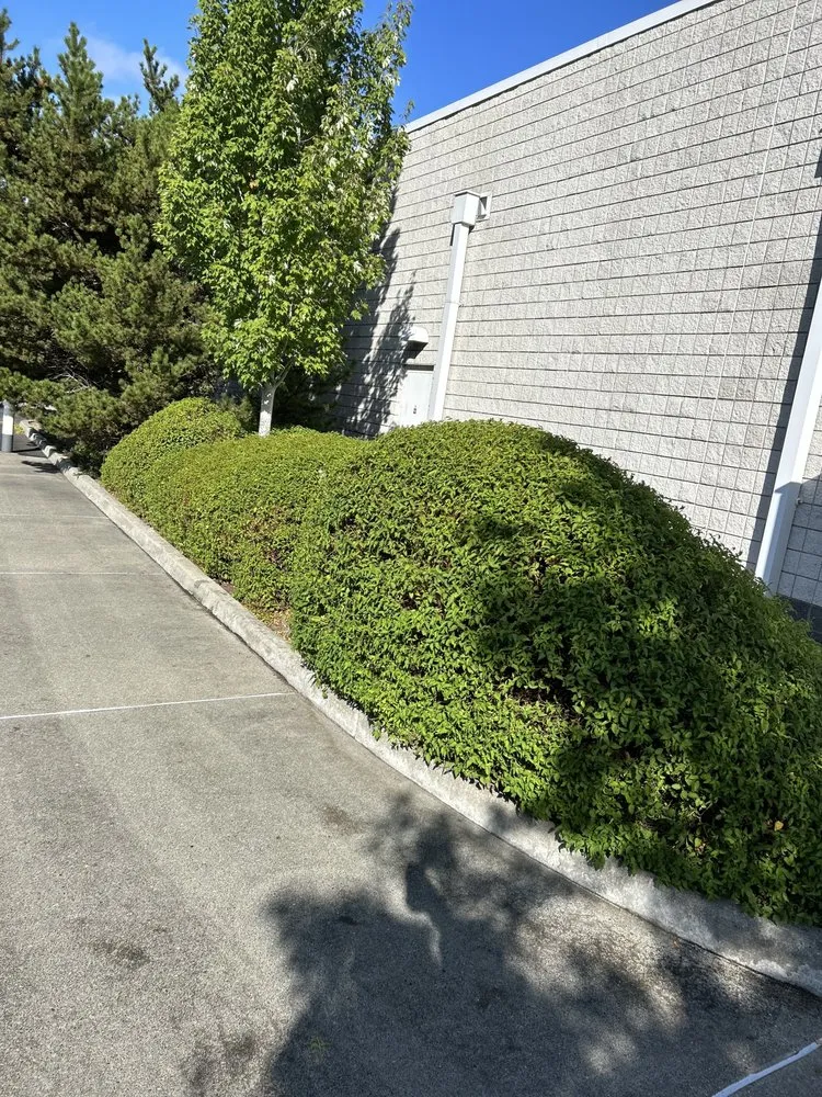 Affordable garden landscaping in Tacoma, WA by Lara’s Lawn Pros